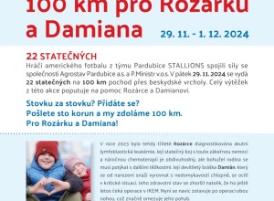 SPOJILI JSME SÍLY pro Rozárku a Damiána